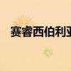 赛睿西伯利亚v1 耳机（赛睿西伯利亚v1）
