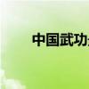 中国武功最高的人是谁（中国武功）