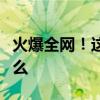 火爆全网！这种能结“宝石”的植物到底是什么