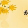 苏35和歼16（su35）