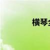 横琴全面解除商品住房限购