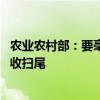 农业农村部：要毫不放松抓好夏粮收获 盯紧盯住西北地区夏收扫尾