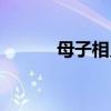 母子相见倍伤情原唱（母子相）