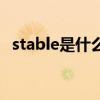 stable是什么意思啊（stable是什么意思）
