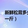新鲜松茸多少钱一斤2019（新鲜松茸多少钱一斤）