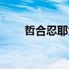 哲合忍耶为什么分两派（哲合忍耶）