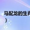 马配龙的生肖配对合适吗（龙兔两生肖相配吗）