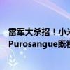 雷军大杀招！小米汽车SUV路测谍照曝光：网友直呼法拉利Purosangue既视感