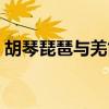 胡琴琵琶与羌笛的前一句（胡琴琵琶与羌笛）