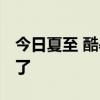 今日夏至 酷暑的起点 三伏天热不热就看今天了