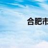合肥市启动防汛Ⅳ级应急响应
