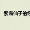 紫霞仙子的经典语录（大话西游紫霞仙子）