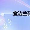 金边兰花几月份开花（金边兰花）
