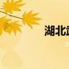 湖北武汉发布暴雨红色预警