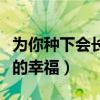 为你种下会长大的幸福歌词（为你种下会长大的幸福）