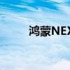 鸿蒙NEXT首次将AI能力融入系统