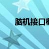 脑机接口概念异动拉升 创新医疗涨停