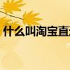 什么叫淘宝直通车（淘宝直通车是什么意思）
