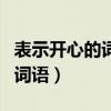 表示开心的词语有哪些四字成语（表示开心的词语）