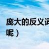 庞大的反义词是什么呀（庞大的反义词是什么呢）