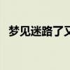 梦见迷路了又遇见亲人预兆（梦见迷路了）