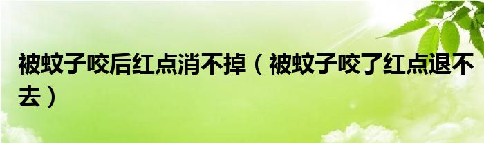 被蚊子咬后不痒只有小红点（被蚊子咬后不肿但是有一个小红点）