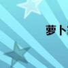 萝卜家园系统（萝卜花园）