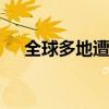 全球多地遭遇高温酷暑 已致上千人死亡