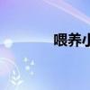 喂养小鸡吃什么（喂养小鸡）
