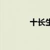 十长生图朝鲜（韩国十长生）