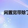 闲置宽带除了跑cdn还能干嘛（闲置宽带）