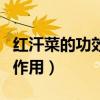 红汗菜的功效与作用及禁忌（红汗菜的功效与作用）