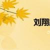 刘翔跨栏照片（刘翔跨栏）