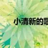 小清新的歌曲女中文（小清新的歌曲）