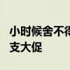 小时候舍不得买的味道：美登高雪糕1.99 元/支大促