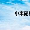 小米副董事长林斌回应减持股票