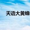 天语大黄蜂的价格（天语大黄蜂怎么样）