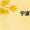 宁波下雪记录（宁波下雪）