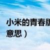 小米的青春版有什么区别（小米青春版是什么意思）