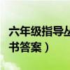 六年级指导丛书答案数学上册（六年级指导丛书答案）