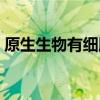 原生生物有细胞质吗（原生生物有细胞壁吗）