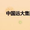 中国远大集团军方背景（中国远大集团）