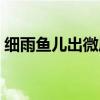 细雨鱼儿出微风燕子斜的妙处（细雨鱼儿出）