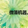 微藻机器人可将药物直送至肺部病灶