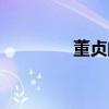董贞的成名曲（董贞新歌）