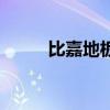 比嘉地板是几线品牌（比嘉地板）