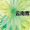 云南青旅住宿价格（云南青旅）