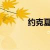 约克夏怎么样?（约克夏论坛）