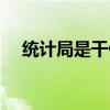 统计局是干什么的（统计局是做什么的）