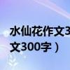 水仙花作文300字三年级仿写图片（水仙花作文300字）